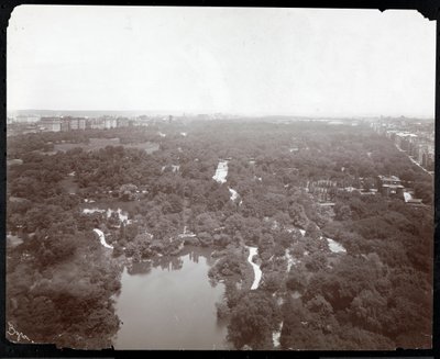 منظر سنترال بارك من فندق بلازا ، الجادة الخامسة وشارع 59 ، نيويورك ، c.1907 (طباعة الجيلاتين الفضي) بواسطة شركة بايرون