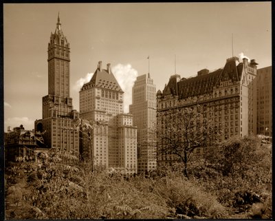 منظر لفندق سافوي بلازا ، الشارع 59 والجادة الخامسة ، نيويورك ، c.1937 (طباعة الجيلاتين الفضي) بواسطة شركة بايرون