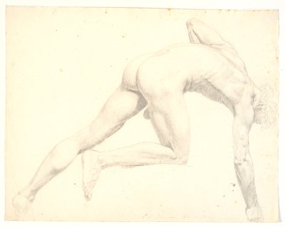 عاري منحني على نموذج الذكور بواسطة C.A. Jensen