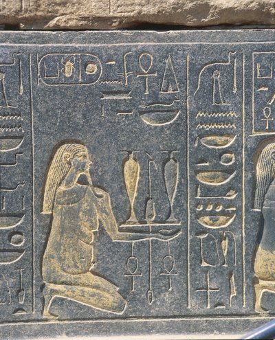 مصر ، الكرنك ، مصلى حتشبسوت الأحمر ، نقش ذهبي ، قربان نبيذ بواسطة جي بي وبراون جيه وروبوتام