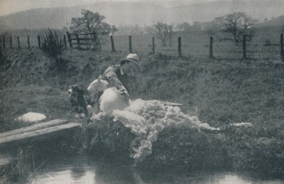 قص الأغنام ، 1910 بواسطة C. ريد