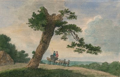 "موضوع ريفي" ، 1804. بواسطة سي تايلور