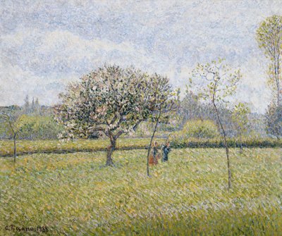 شجرة التفاح في زهرة في Eragny. شجرة التفاح في إزهار في Eragny ، 1888 بواسطة كميل يعقوب بيسارو