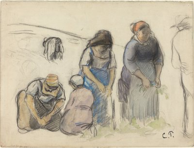 حصادات البازلاء [الصفحة اليمنى] ، ج. 1880. بواسطة كميل بيسارو