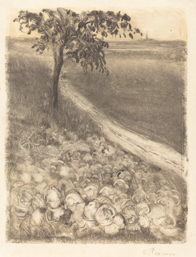 طريق بحقل الكرنب ، ج. 1880. بواسطة كميل بيسارو