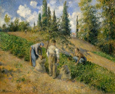 الحصاد ، Pontoise La Récolte ، Pontoise ، 1881. بواسطة كميل يعقوب بيسارو