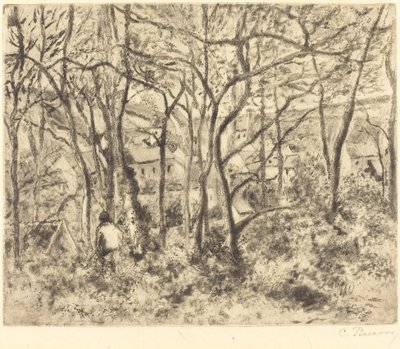 المناظر الطبيعية المشجرة في L'Hermitage ، Pontoise Landscape تحت الخشب ، في L'Hermitage ، Pontoise ، 1879. بواسطة كميل بيسارو