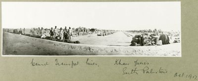 خطوط نقل الجمال ، خان يونس ، أكتوبر 1917 بواسطة كابتن. آرثر رودس
