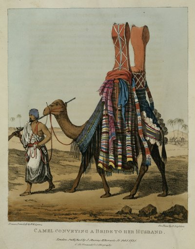 الجمل ينقل عروسًا إلى زوجها ، محفور بواسطة دينيس دايتون (1792-1827) اللوحة 16 من "قصة سفر في شمال إفريقيا" ، حانة. 1821 بواسطة الكابتن جورج فرانسيس ليون