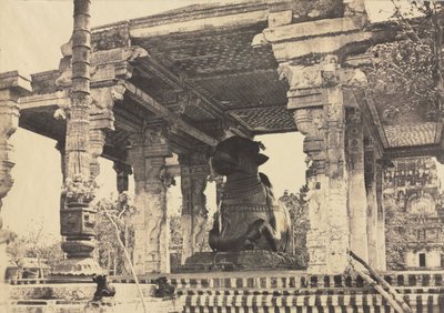 المعبد العظيم ، الثور العظيم ، منظر أمامي ، تانجور ، الهند (معبد راجاراجيسفارا) بواسطة رئاسة مدراس