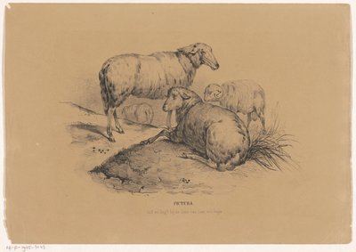 أربعة أغنام Pictura (عنوان السلسلة على الكائن) بواسطة كاريل كريستيان أنطوني آخر