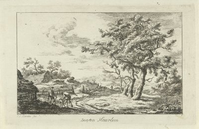الصيادون مع كلب على الطريق Buyten Haarlem (العنوان على الكائن) المناظر الطبيعية (a-f) (عنوان المسلسل) بواسطة كاريل لودويجك هانسن