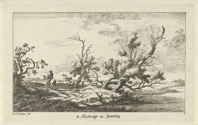 راكب في منظر طبيعي Te Kockange في Drenthe (العنوان على الكائن) المناظر الطبيعية (AF) (عنوان السلسلة) بواسطة كاريل لودويجك هانسن