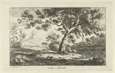 يستريح الراعي في Eext in Drenthe (العنوان على الكائن) المناظر الطبيعية (a-f) (عنوان المسلسل) بواسطة كاريل لودويجك هانسن