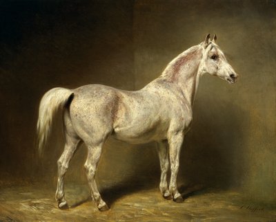 `` بياتريس &39;&39; ، السرج العربي الأبيض من هيلموت جراف فون مولتك ، 1855 بواسطة Carl Constantin Steffeck