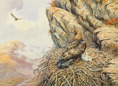النسور الذهبية في Eyrie بواسطة كارل دونر
