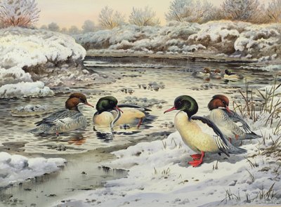 Goosanders بواسطة كارل دونر