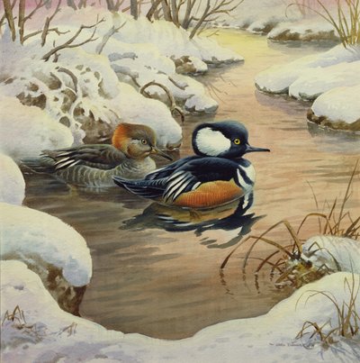 Mergansers مقنعين على بركة بواسطة كارل دونر