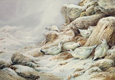 Ptarmigan في المناظر الطبيعية المغطاة بالثلوج بواسطة كارل دونر
