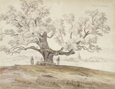 منظر لـ Wolfershausen bei Meiningen مع شجرة البلوط القديمة ، 1844 (الجرافيت ومرحاض على الورق) بواسطة كارل ارنست لودفيج واجنر