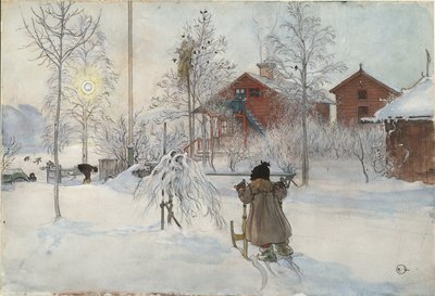 The Yard and Wash-House ، من سلسلة A Home ، c.1895 (مرحاض على ورق) بواسطة كارل لارسون