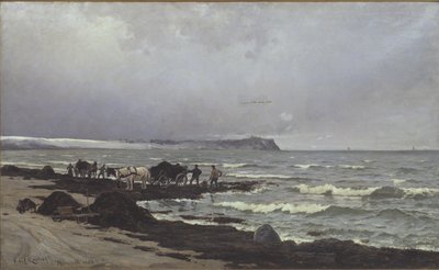 يتم تحميل الأعشاب البحرية في Hornbæk Strand بواسطة كارل لوشر