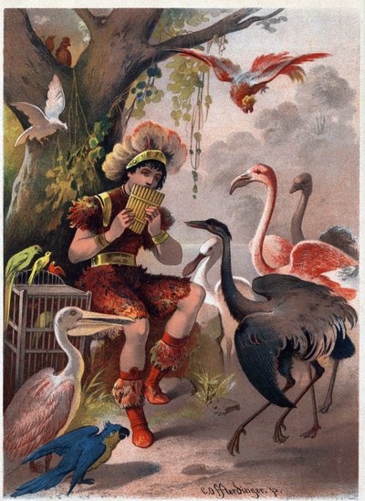 يجلب Papageno مع الفلوت عموم الطيور من الغابة. رسم لكارل أوفترينجر (1829-1889) في "" الفلوت المسحور "(Die Zauberflote ، flauto magico ، The Magic Flute). مجموعة خاصة. بواسطة كارل Offterdinger