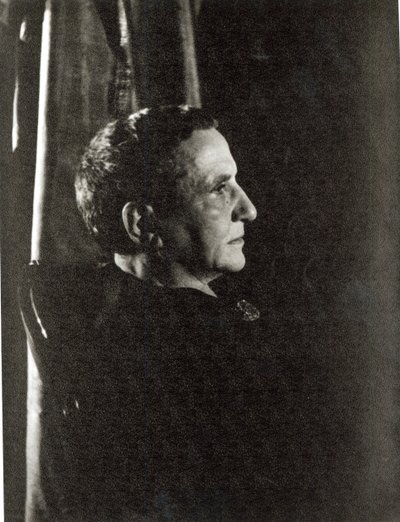 جيرترود شتاين (1874-1946) 4 نوفمبر 1934 (طبعة فضية جيلاتينية) بواسطة كارل فان فيشتن
