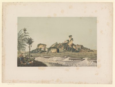 منظر لجامبينجبيرج Gunong Gamping (العنوان على الكائن) Atlas to work Java (عنوان السلسلة على الكائن) أطلس من اللوحات يحتوي على أحد عشر منظرًا خلابًا ، تنتمي إلى عمل جافا ومظهره ونباتاته وبنيته الداخلية (سلسلة ti بواسطة كارل فيلهلم ميلينج (ربما)