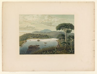 منظر لبحيرة باتنغ قانغ Telaga Patengan (العنوان على الكائن) Atlas to work Java (عنوان السلسلة على الكائن) أطلس من اللوحات يحتوي على أحد عشر منظرًا خلابًا ، تنتمي إلى عمل جافا ومظهره ونباتاته وبنيته الداخلية (سيري) بواسطة الملكية الهولندية Steendrukkerij van CW Mieling