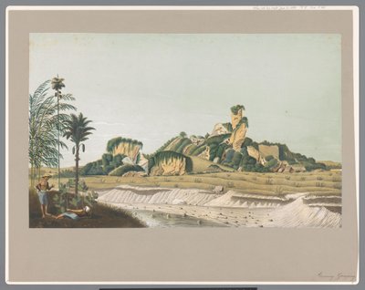 الحجر الجيري في جافا بواسطة كارل فيلهلم ميلينج (ربما)