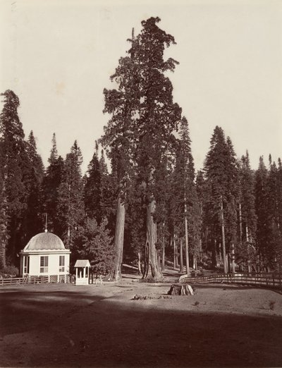 الحارس ، 315 قدمًا ، 1865-66 ، طبع كاليفورنيا. 1876. بواسطة كارلتون إيمونز واتكينز