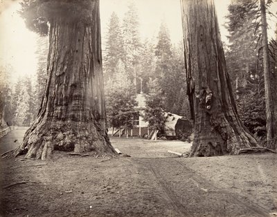 الحراس ، 315 قدمًا ، يوسمايت ، كاليفورنيا. 1872 ، طبع كاليفورنيا. 1876. بواسطة كارلتون إيمونز واتكينز