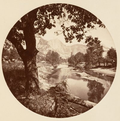 [منتزه يوسمايت الوطني ، كاليفورنيا] ، كاليفورنيا. 1878. بواسطة كارلتون إيمونز واتكينز