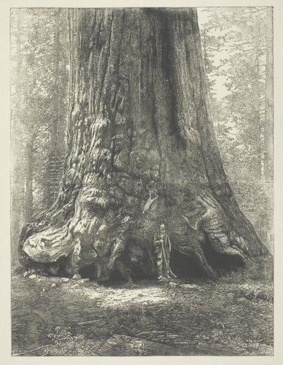 نسخة من كتاب كارلتون واتكينز "جالين كلارك قبل العملاق الأشيب" بواسطة Carleton Watkins