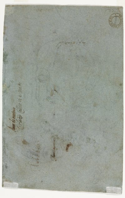 رسم تخطيطي لرأس طفل (ظهر) بواسطة كارليتو كالياري