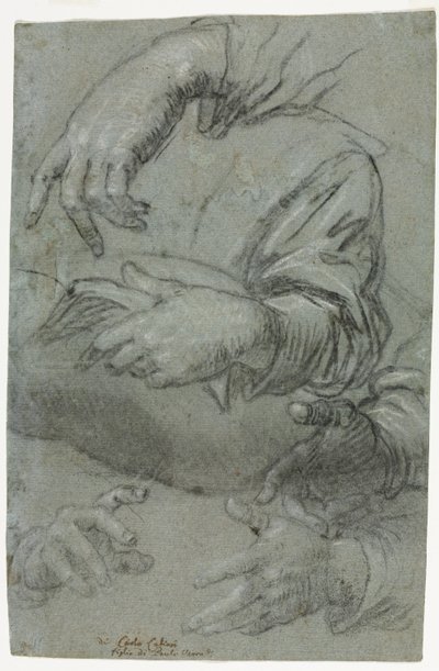 دراسات اليد اليمنى ، رسم تخطيطي لرأس الطفل ، ج. 1586. بواسطة كارليتو كالياري