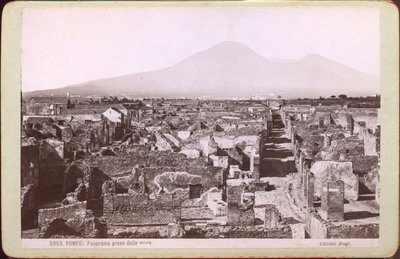 بانوراما بومبي، حوالي عام 1880 (صورة فوتوغرافية) بواسطة كارلو بروجي