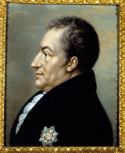 صورة ليوهان فولفجانج فون جوته (1749-1832) لكارلو بروني. القرن التاسع عشر. فيلا فيجوني. تعال بحيرة. إيطاليا بواسطة كارلو بروني