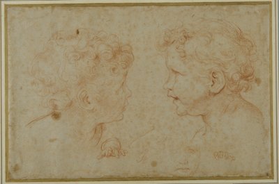 Studies of the head and left hand of a putto (red chalk on paper) بواسطة كارلو ماراتي
