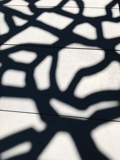 التركيب - الظلال، 2021 (صورة فوتوغرافية) بواسطة سيسيل جاميت