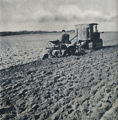 أعدت الأرض ، 1941 بواسطة سيسيل بيتون