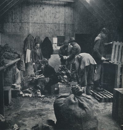 خضروات للسوق ، 1941 بواسطة سيسيل بيتون