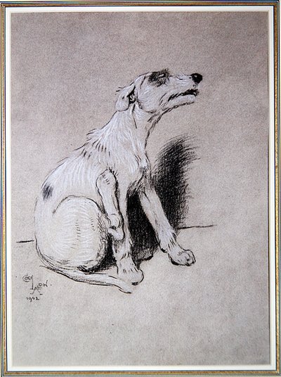 "5:15 من الاستيقاظ من هجوم الأكزيما السيئ" ، رسم توضيحي من A Dog Day بقلم والتر إيمانويل بواسطة سيسيل تشارلز وندسور الدين