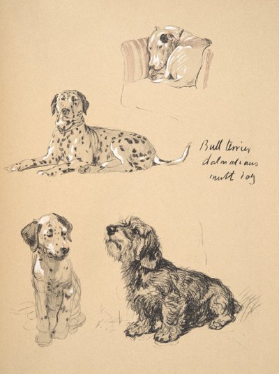 Bull Terrier ، Dalmatians and Mutt Dog ، 1930 ، رسوم توضيحية من كتابه التخطيطي المستخدم فقط بين الأصدقاء ، Aldin ، Cecil Charles Windsor (1870-1935) ، تم نشره لاحقًا بواسطة Eyre and Spottiswoode Limited ، بواسطة سيسيل تشارلز وندسور الدين