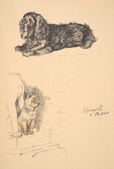 Spaniel and Chow ، 1930 ، رسوم توضيحية من كتابه التخطيطي المستخدم فقط بين الأصدقاء ، Aldin ، Cecil Charles Windsor (1870-1935) ، تم نشره لاحقًا بواسطة Eyre and Spottiswoode Limited ، 1934 ، Chalk and Char بواسطة سيسيل تشارلز وندسور الدين