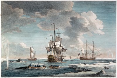 مصايد الأسماك في غرينلاند، نقش بقلم جون بويدل (1719-1804) 1754 (نقش ملون) بواسطة تشارلز (بعد) بروكينغ