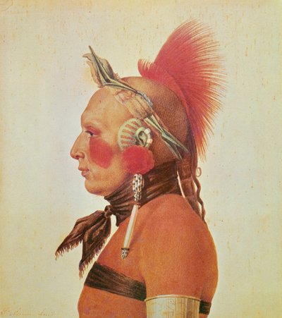 An Osage Warrior, c.1804 (colour litho) بواسطة شارل بالتازار جوليان فيفريت دي سان مين