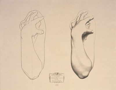 Bent Arm of a Woman ، اللوحة 22 من Cours de Dessin Volume I ، Models dapres la bosse ، c.1868 بواسطة تشارلز بارج