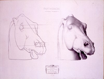 رأس الحصان من West Pediment of Parthenon ، اللوحة 47 من Cours de Dessin ، c.1898 بواسطة تشارلز بارج